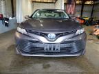 2019 Toyota Camry Le for Sale in Windsor, NJ - Side