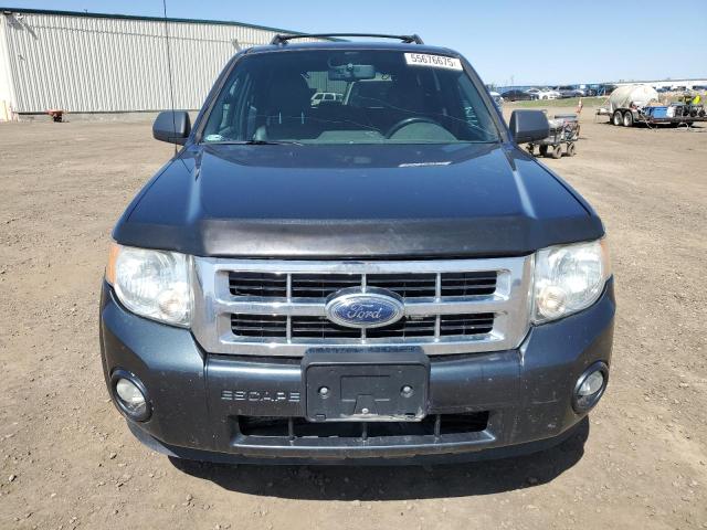 2009 FORD ESCAPE XLT