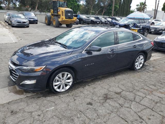  CHEVROLET MALIBU 2023 Gray
