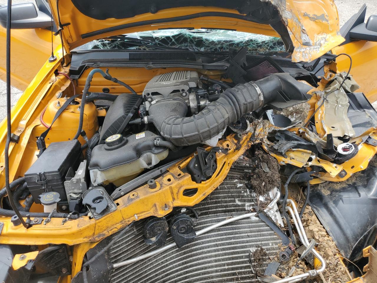 2009 Ford Mustang Gt VIN: 1ZVHT82H695115968 Lot: 56853705