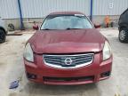 2007 Nissan Maxima Se იყიდება Lawrenceburg-ში, KY - Hail