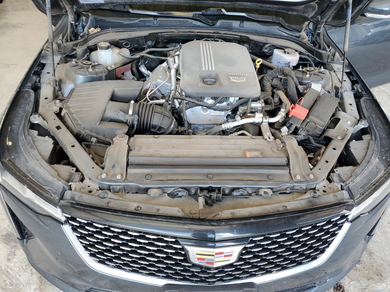 2022 Cadillac Ct4 Luxury VIN: 1G6DJ5RK3N0113628 Lot: 55824815