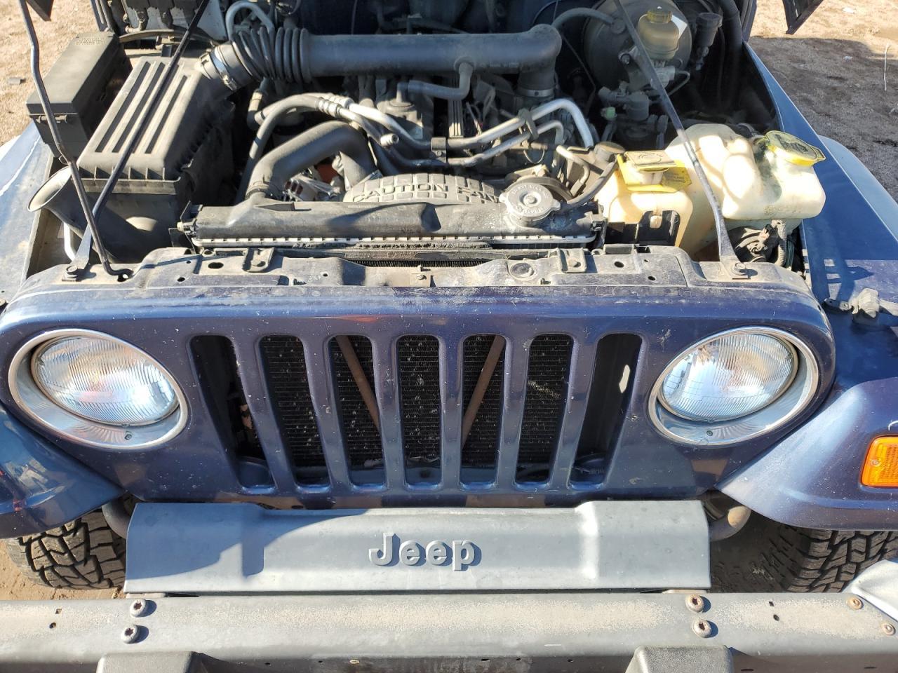 2003 Jeep Wrangler Commando VIN: 1J4FA39S43P338732 Lot: 56315495