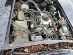 1981 CHEVROLET CORVETTE    for sale at Copart NC - GASTONIA
