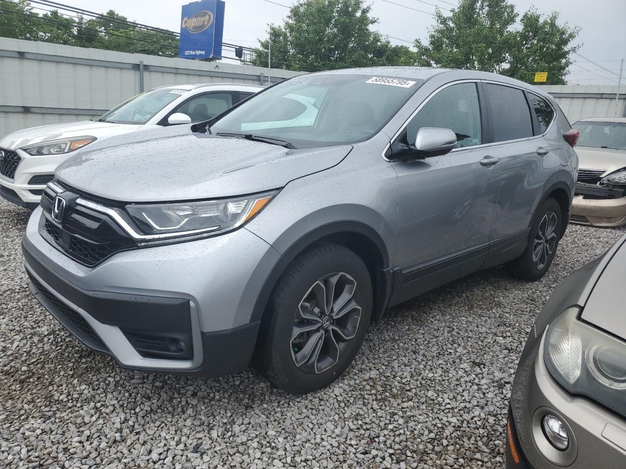 2022 Honda Cr-V Exl للبيع في Walton، KY - Rear End