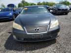 2010 Lexus Es 350 იყიდება Hillsborough-ში, NJ - Minor Dent/Scratches