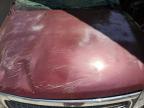 1998 Ford Expedition  zu verkaufen in Sun Valley, CA - Rollover