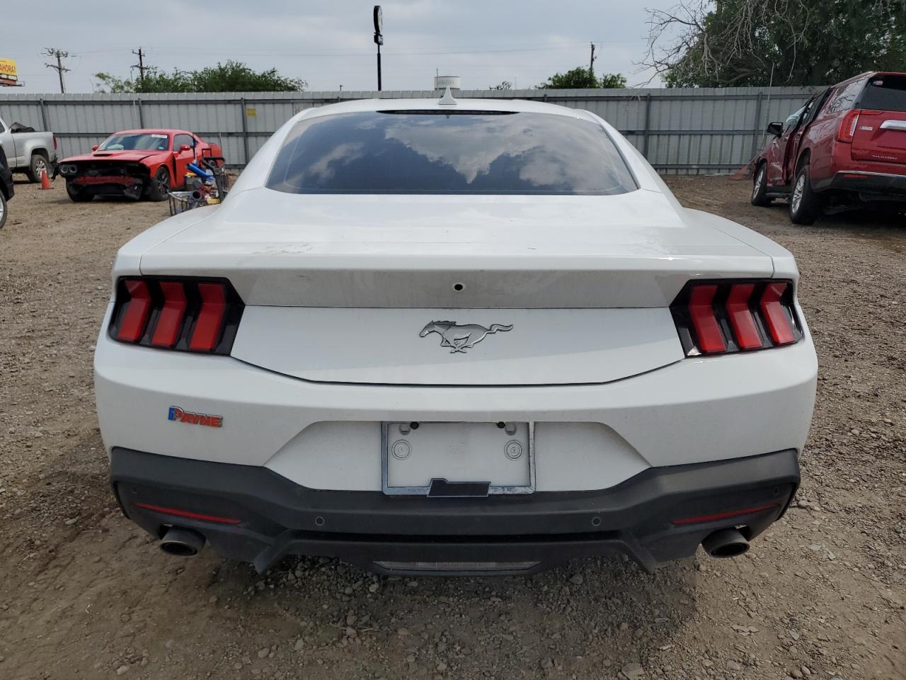 2024 Ford Mustang VIN: 1FA6P8TH6R5109882 Lot: 55615885