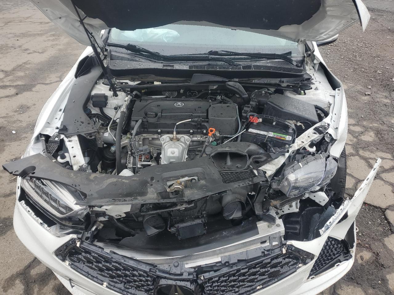 2020 Acura Tlx VIN: 19UUB1F3XLA014975 Lot: 57085825