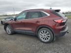 2021 FORD ESCAPE TITANIUM   for sale at Copart ON - OTTAWA