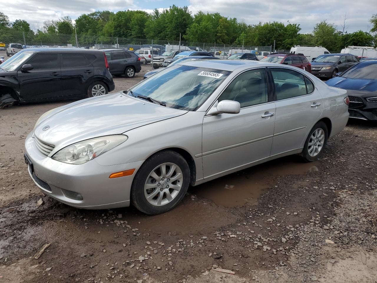 2004 Lexus Es 330 for Sale in Chalfont, PA - Rear End