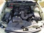 2005 Ford Mustang  for Sale in Jacksonville, FL - Rear End