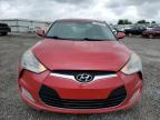 2013 Hyundai Veloster  იყიდება Earlington-ში, KY - Hail