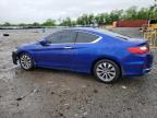 2013 Honda Accord Exl იყიდება Baltimore-ში, MD - Front End
