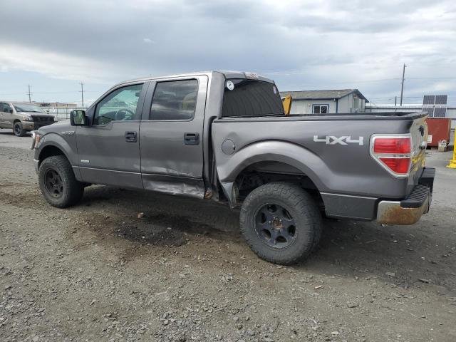 Пикапы FORD F-150 2013 Серый
