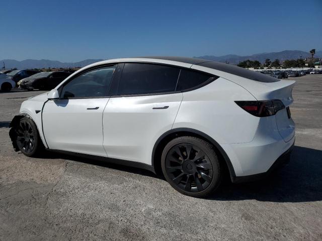  TESLA MODEL Y 2023 White