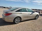 2011 Hyundai Sonata Se for Sale in Andrews, TX - Water/Flood