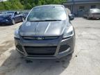 2015 Ford Escape Se for Sale in Ellwood City, PA - Hail