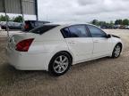 2004 Nissan Maxima Se de vânzare în Rogersville, MO - Front End