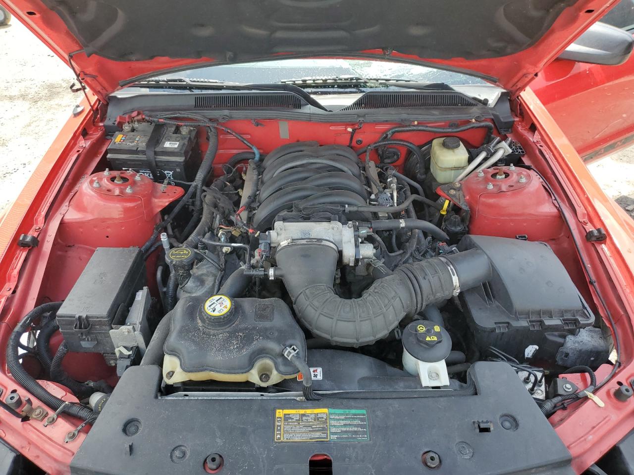 2006 Ford Mustang Gt VIN: 1ZVFT85H265144687 Lot: 58909745