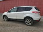 London, ON에서 판매 중인 2013 Ford Escape Sel - Mechanical