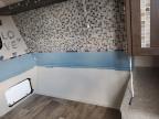 2019 Springdale/ Sprinter Travel Trl for Sale in Des Moines, IA - Hail