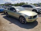 2005 Ford Mustang  for Sale in Jacksonville, FL - Rear End
