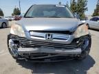 2007 Honda Cr-V Exl იყიდება Rancho Cucamonga-ში, CA - Front End