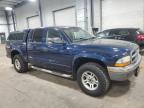 2004 Dodge Dakota Quad Slt продається в Ham Lake, MN - Minor Dent/Scratches