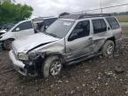 2003 Nissan Pathfinder Le for Sale in Cicero, IN - Side