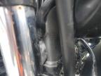 2009 Suzuki Sfv650  de vânzare în Gastonia, NC - All Over