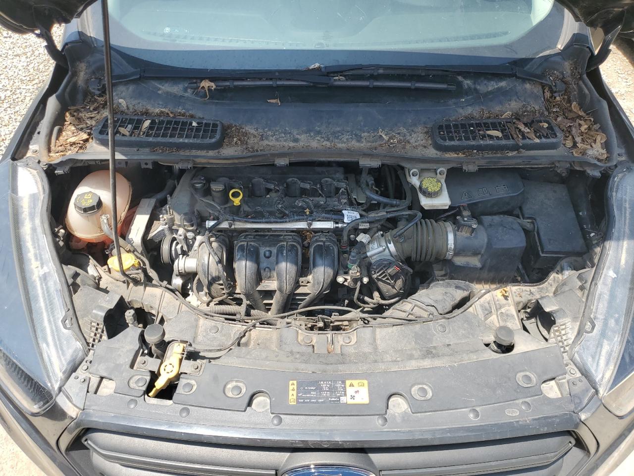 2019 Ford Escape S VIN: 1FMCU0F77KUC03156 Lot: 59018155