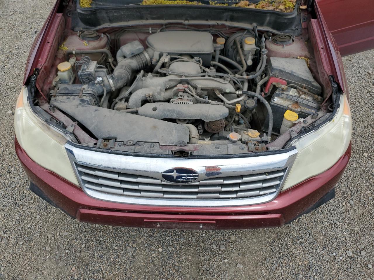 2010 Subaru Forester 2.5X Premium VIN: JF2SH6CC9AG755488 Lot: 56056195