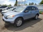 2007 HONDA CR-V EX for sale at Copart ON - TORONTO