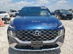 2023 Hyundai Santa Fe Calligraphy for Sale in Taylor, TX - Hail