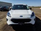 2021 FORD ESCAPE SE for sale at Copart AB - CALGARY