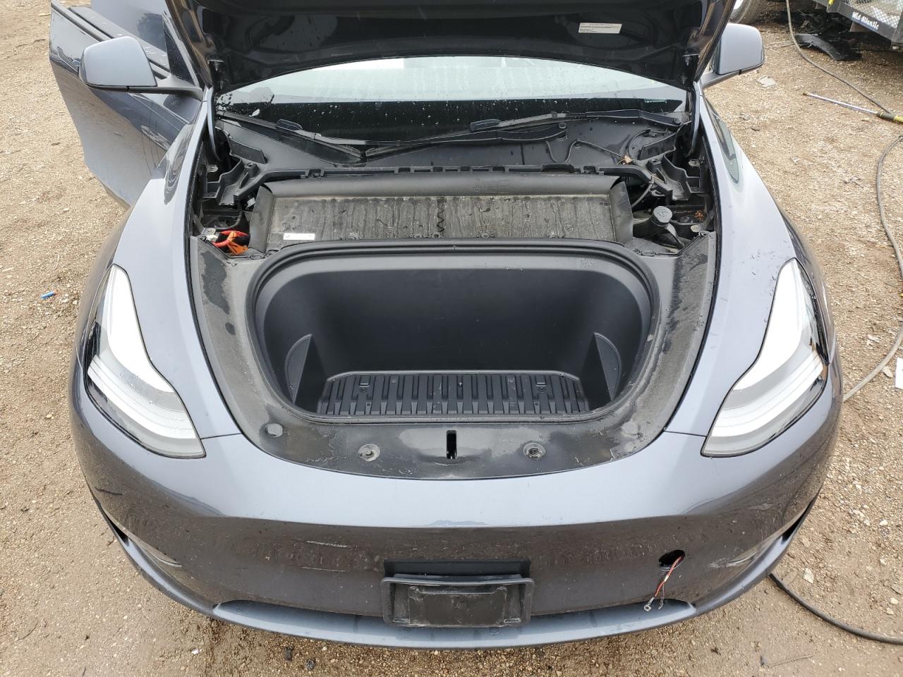 2023 Tesla Model Y VIN: 7SAYGDEE5PF884364 Lot: 55474875