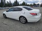 2010 Honda Accord Exl for Sale in Graham, WA - Front End