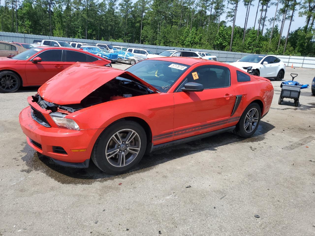 Harleyville, SC에서 판매 중인 2012 Ford Mustang - Front End