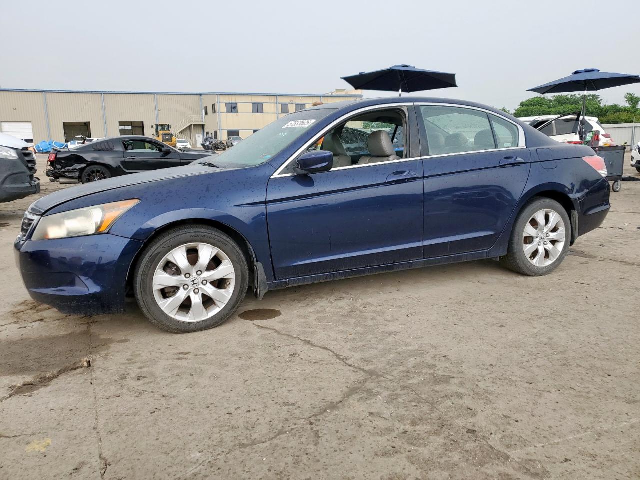 2008 Honda Accord Exl იყიდება Wilmer-ში, TX - All Over