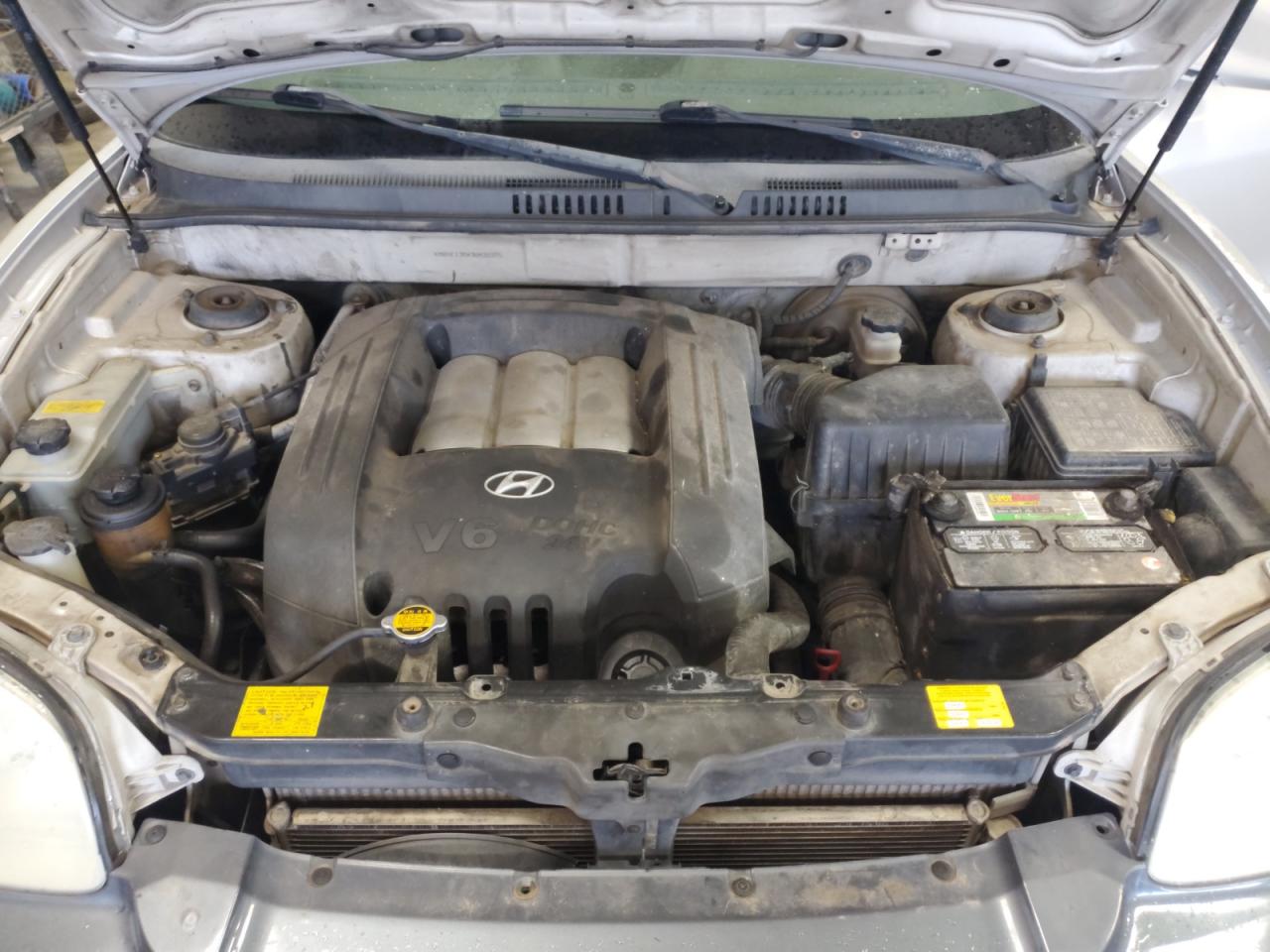 2003 Hyundai Santa Fe Gls VIN: KM8SC13DX3U431975 Lot: 56180275