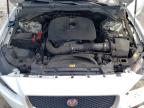 2017 Jaguar Xe  for Sale in Jacksonville, FL - Front End