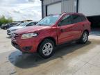 2010 Hyundai Santa Fe Gls zu verkaufen in Cahokia Heights, IL - Side