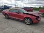2005 Ford Mustang    for Sale in Indianapolis, IN - Front End