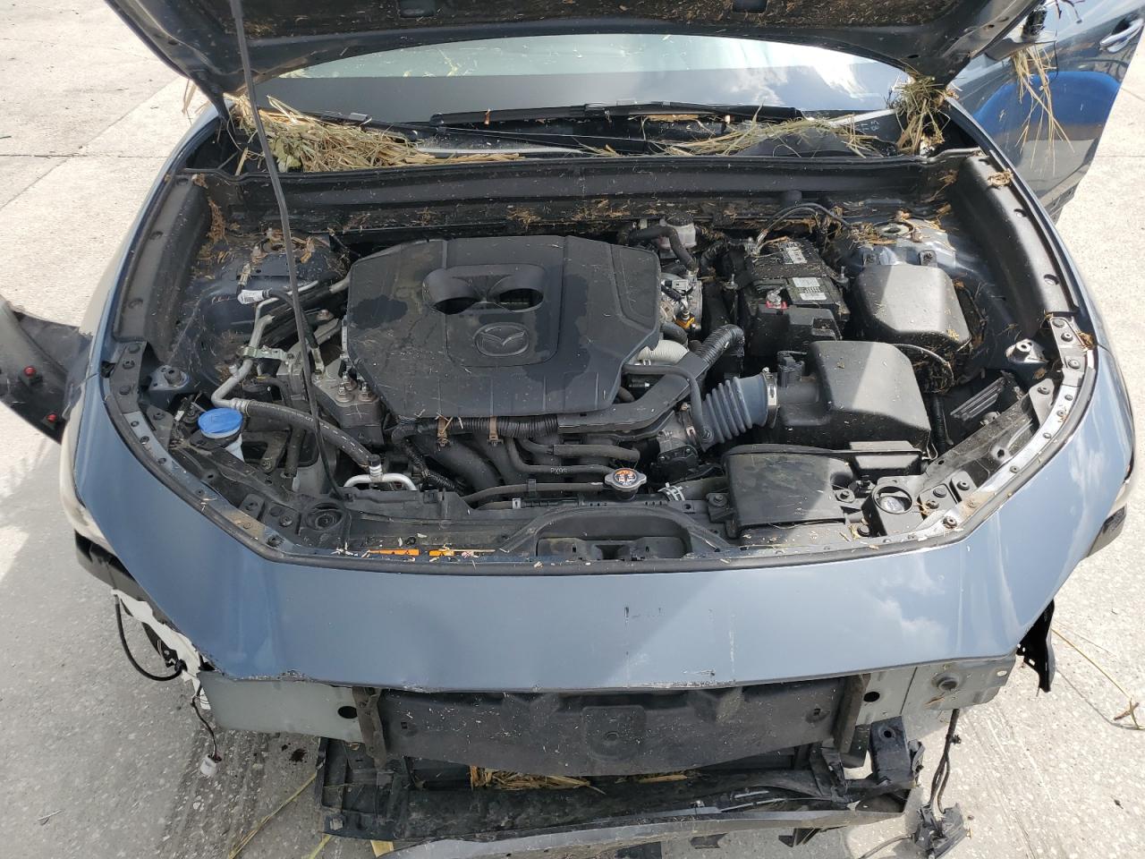 2023 Mazda Cx-30 Preferred VIN: 3MVDMBCM7PM529161 Lot: 58791675