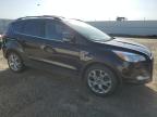 2013 FORD ESCAPE SEL à vendre chez Copart AB - EDMONTON