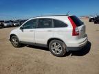2010 Honda Cr-V Exl de vânzare în Amarillo, TX - Front End