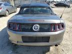 2014 Ford Mustang  for Sale in Los Angeles, CA - All Over