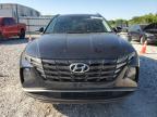2024 Hyundai Tucson Blue for Sale in Prairie Grove, AR - Rear End