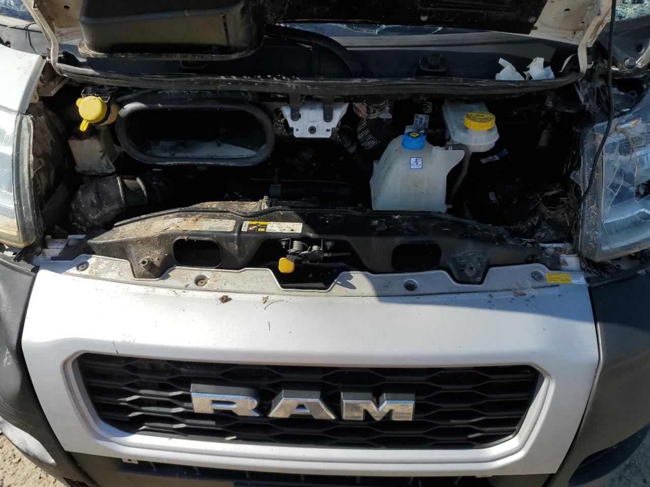 2019 Ram Promaster 1500 1500 High VIN: 3C6TRVBGXKE556814 Lot: 57021215